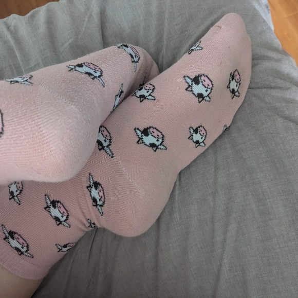 Cow Socks 🐄🐮 - Picture 3 of 3